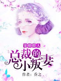 奚声声褚桉女频小说